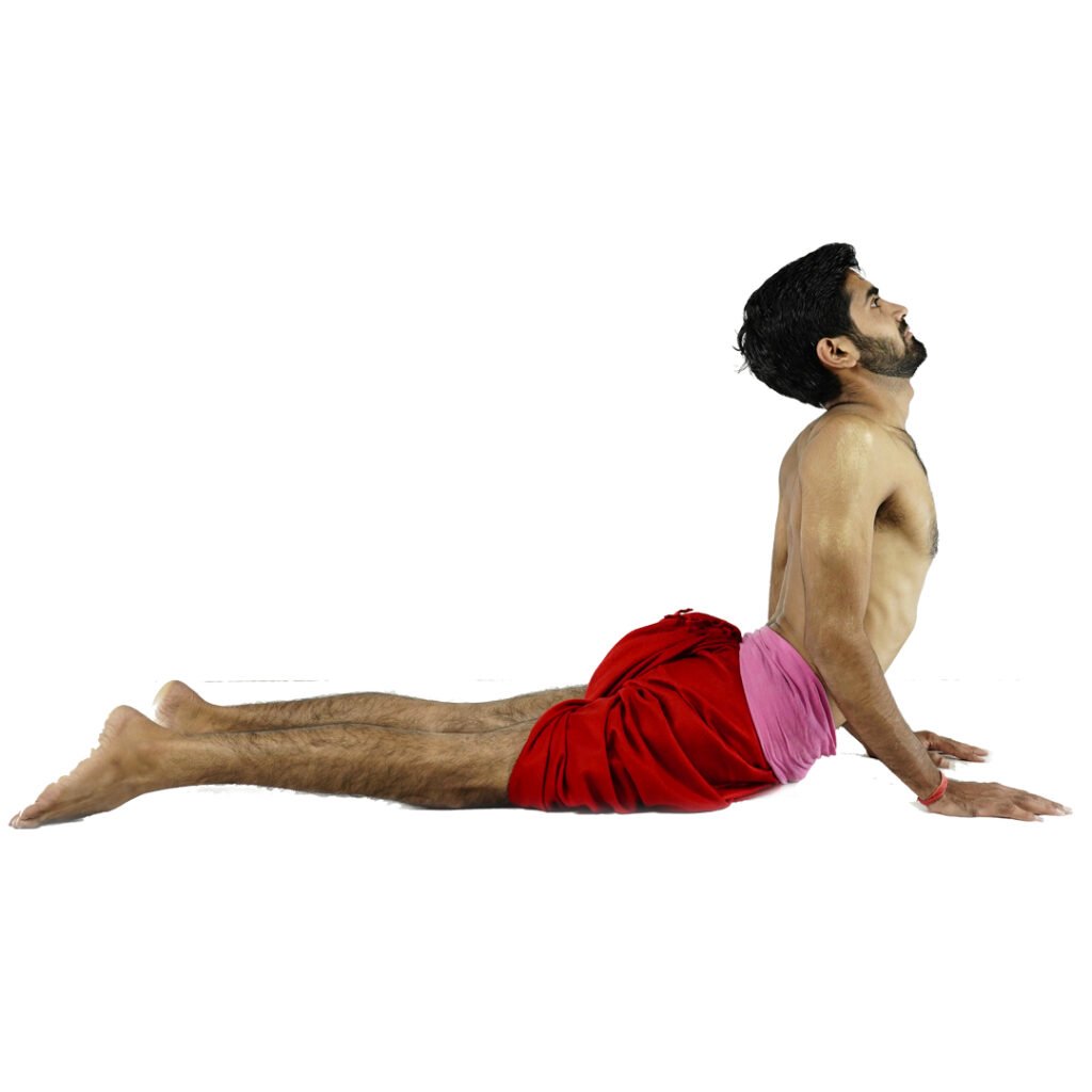 Bhujangasana