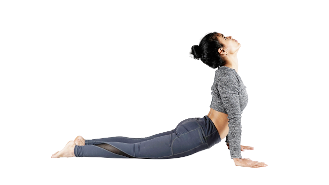 Bhujanag Asana