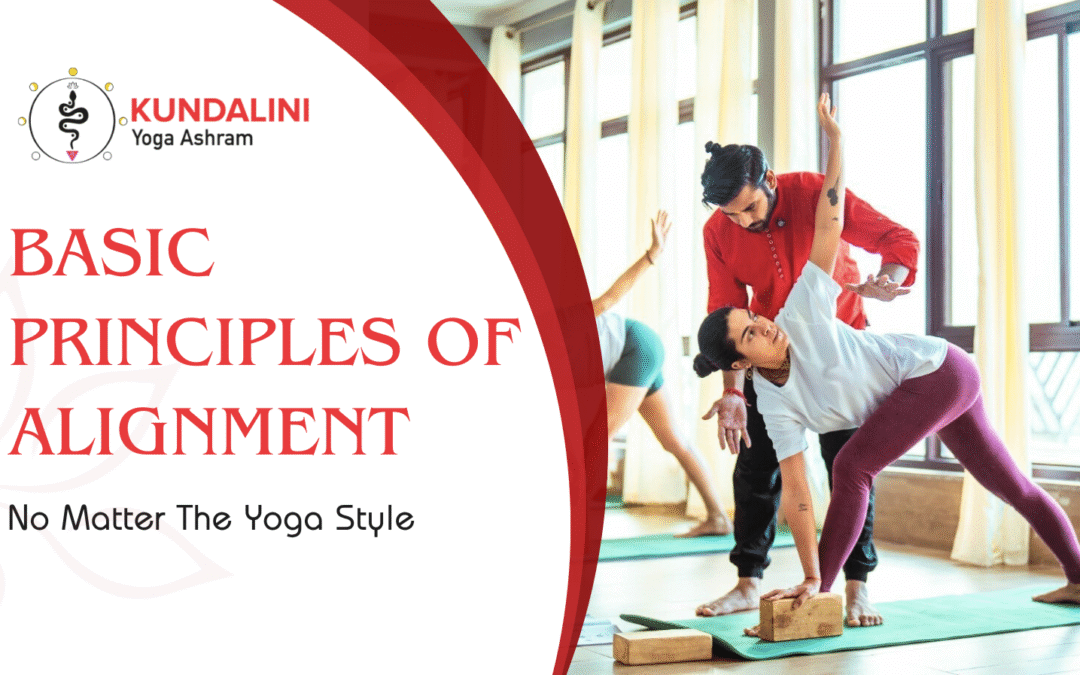 Basic Principles Of Alignment – No Matter The Yoga Style