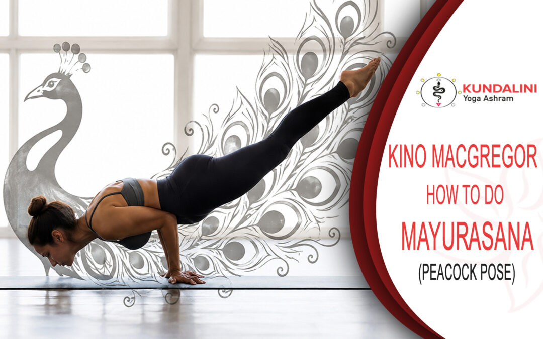 Kino MacGregor Explains How To Do Mayurasana (Peacock Pose)